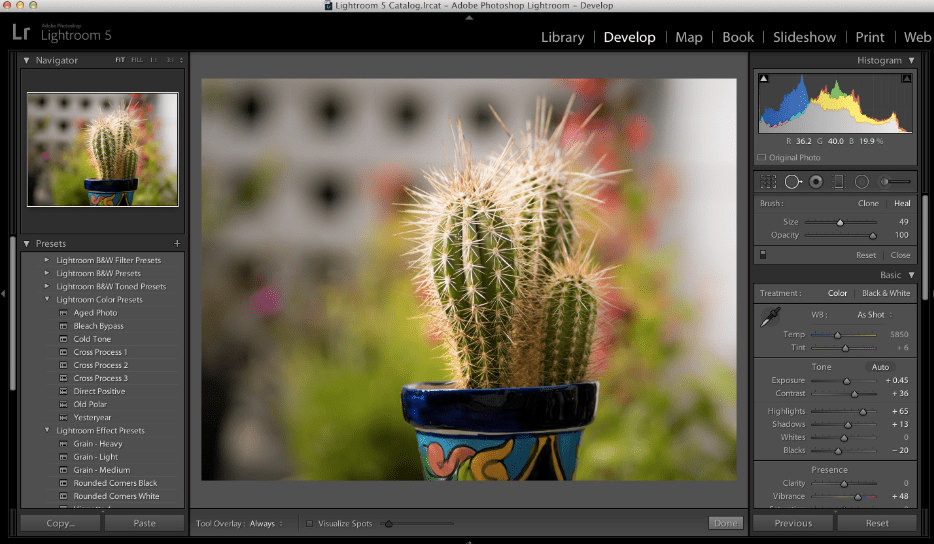 photoshop 2017 for mac torrent